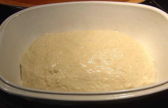 BH 7-31-11 unrisen dough in Brottopf