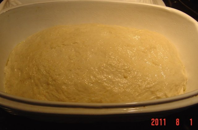 BH 7-31-11 retarded risen dough in Brottopf