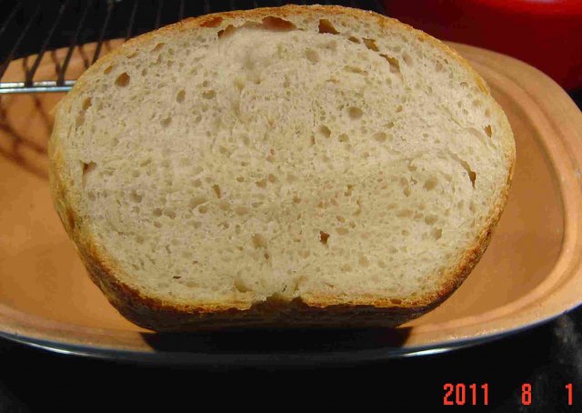 BH 7-31-11 Crumb sourdough bread 8-1-11