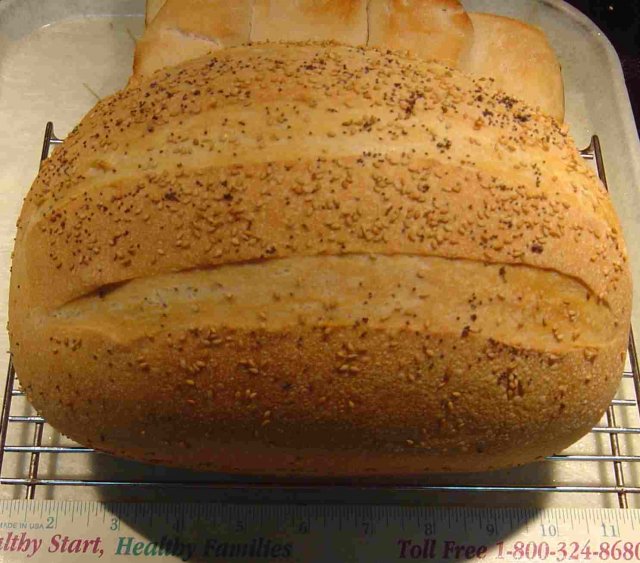 BH Deluxe Sourdough Bread bread machine dough 8-11-11