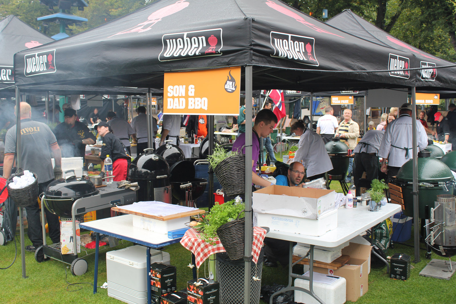 IMG_5012-son_dad_bbq.jpg