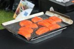 IMG_5077-bleeg-salmon.jpg