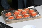 IMG_5167-team_søborg-salmon.jpg