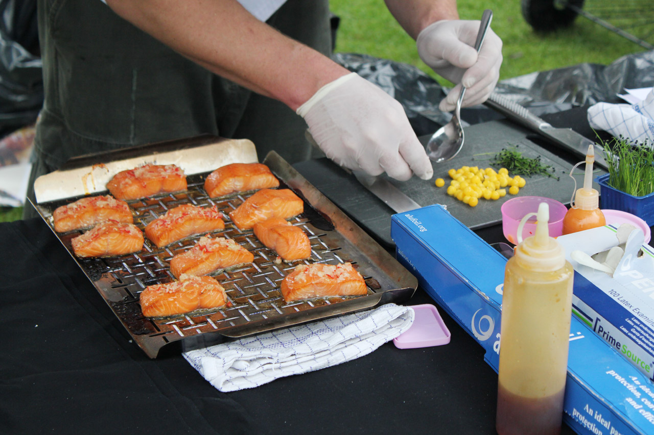 IMG_5202-bleeg-salmon.jpg