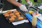 IMG_5202-bleeg-salmon.jpg