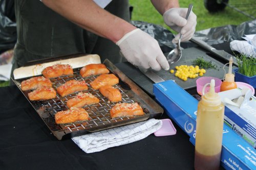 IMG_5202-bleeg-salmon.jpg