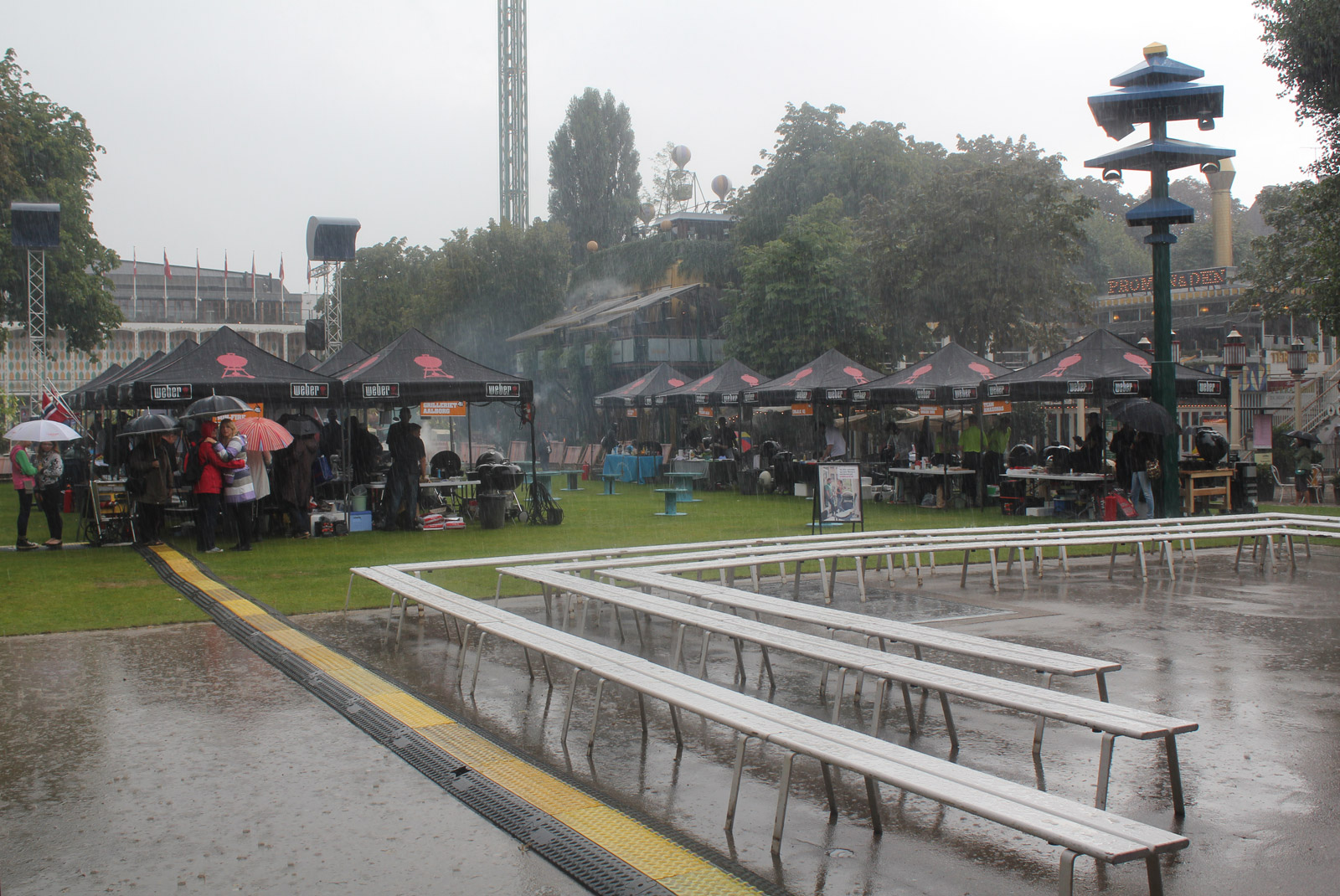 IMG_5223-torrential_rain.jpg