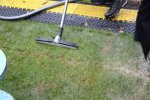 IMG_5364-vacuum.jpg