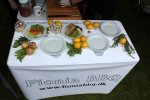 IMG_5473-fionia_bbq.jpg