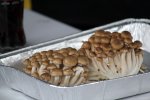 IMG_5502-grilleriet_aalborg.jpg