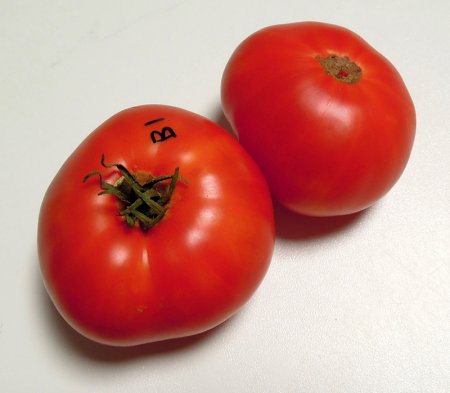 HarmonyF1red