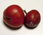 RH18TidyF4&37RosRussF7(2)