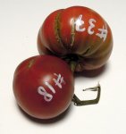 RH18TidyF4&37RosRussF7