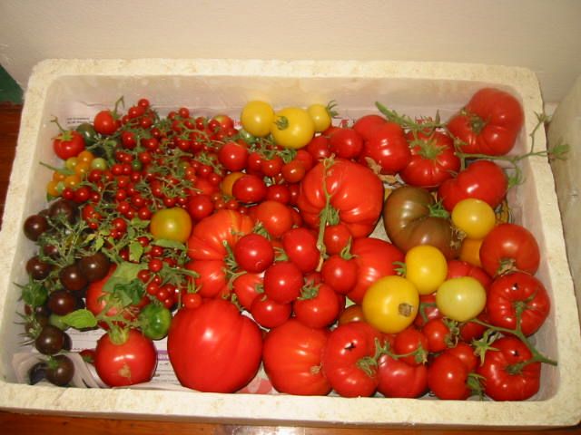 Today's haul