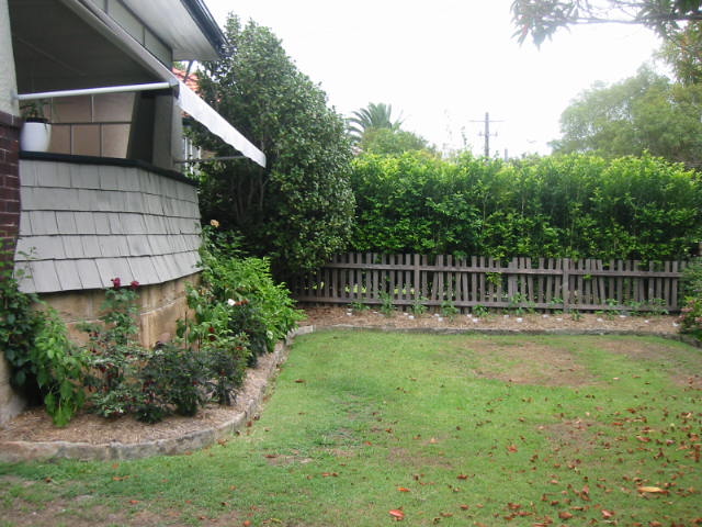 Front yard