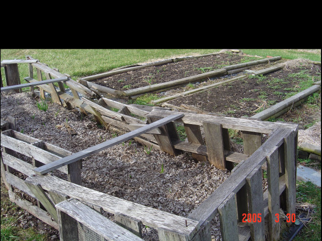 compost bin 3-30-05