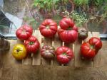 USPS Tomatoes to Houston - Overall 1