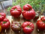 USPS Tomatoes to Houston - Overall 2
