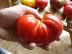 USPS Tomatoes to Houston - Chapman