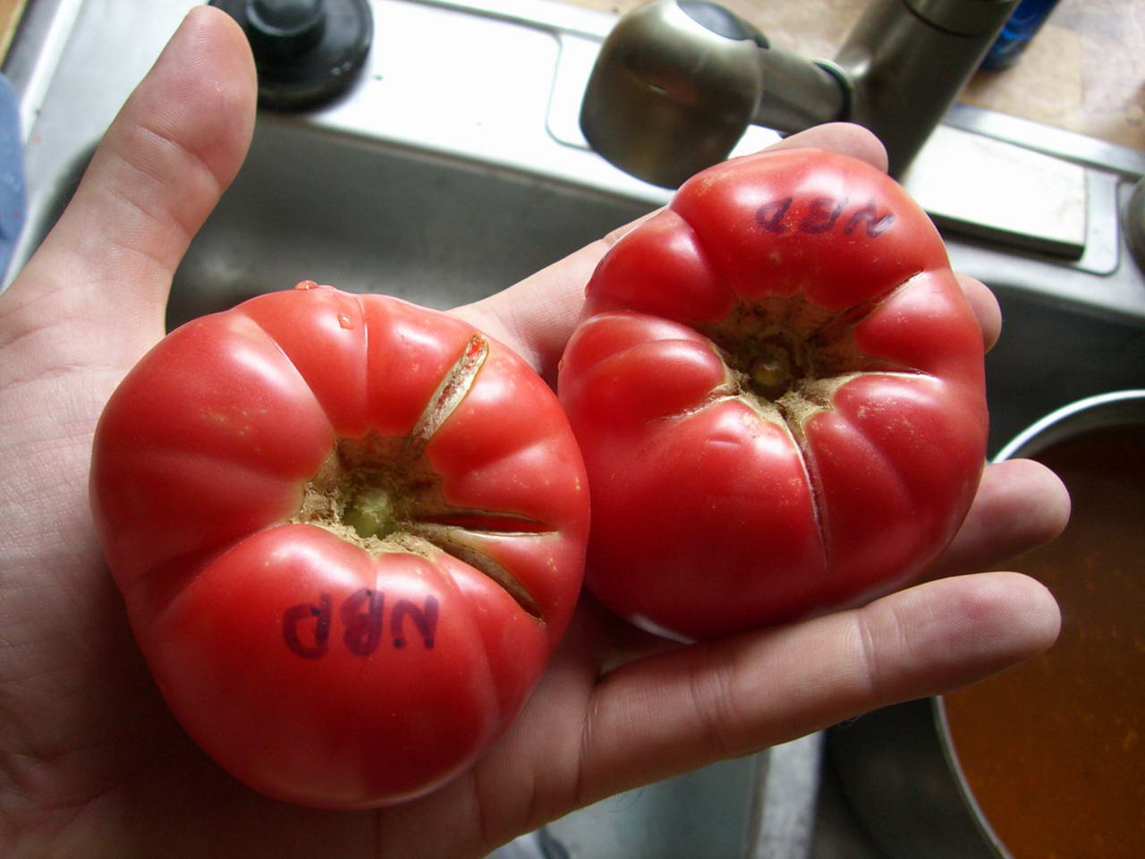 USPS Tomatoes to Houston - New Big Dwarf