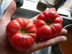 USPS Tomatoes to Houston - New Big Dwarf