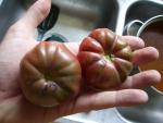 USPS Tomatoes to Houston - Cherokee Purple