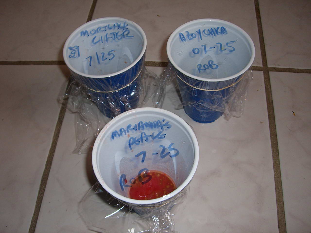 USPS Tomatoes to Houston - seed saving