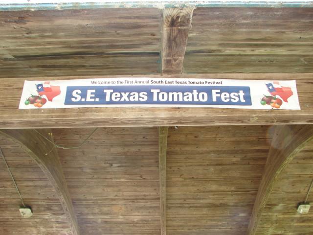 Welcome to SETTFest