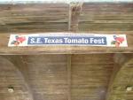 Welcome to SETTFest