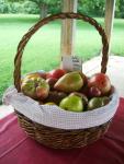 Tomato "To Go" basket (CIMG2897)