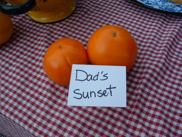 Dad's Sunset