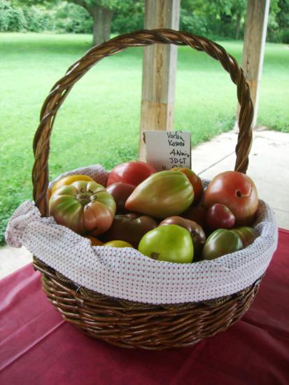 Tomato "To Go" basket (CIMG2897)