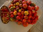 Bunch o Maters 1