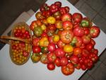 Bunch o Maters 3