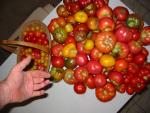 Bunch o Maters 4