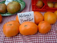 Kellogg's Breakfast
