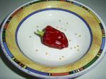 PI 302987.jpg
