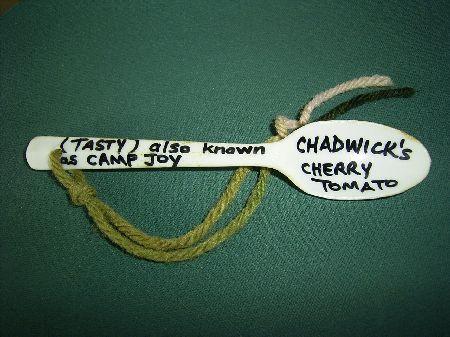 Plant labelling.jpg