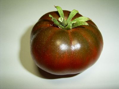 Cherokee Chocolate.jpg