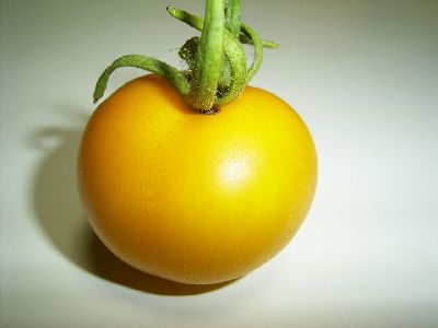 Yellow Perfection.jpg