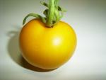 Yellow Perfection.jpg