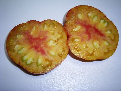 Regina's Yellow sliced.jpg