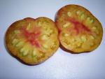 Regina's Yellow sliced.jpg