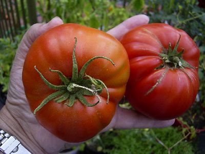 Three per kilo.jpg