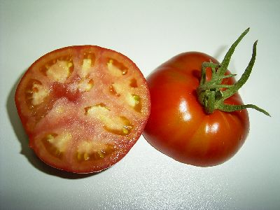 Patrina F2.jpg