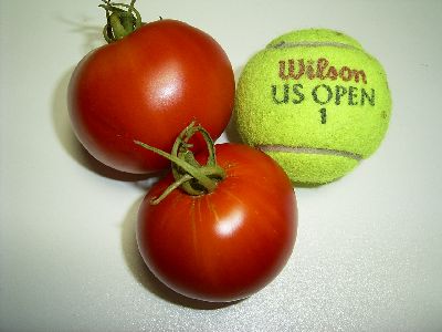 Patrina F2s size comparison.jpg