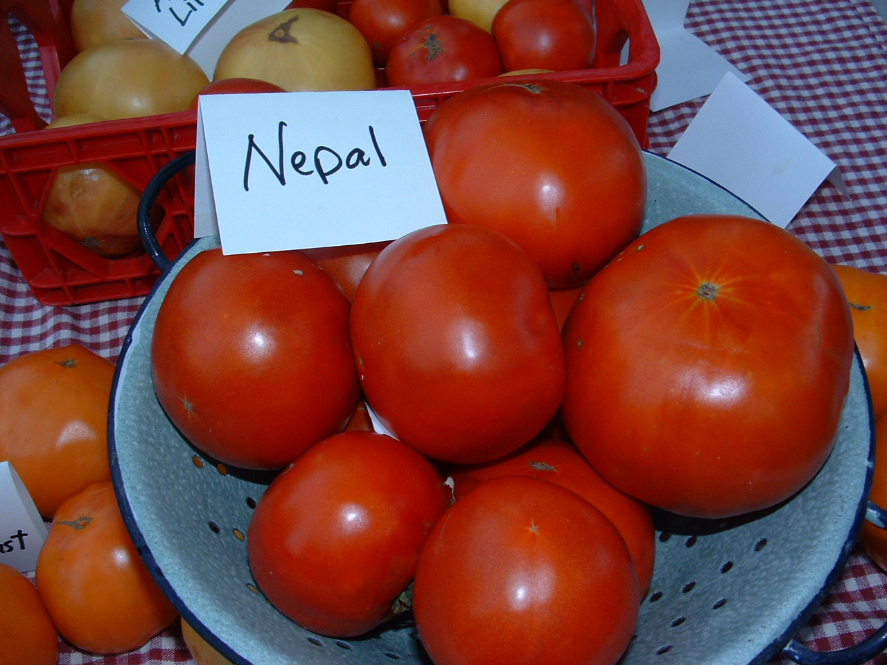Nepal