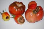 First ripe 2007-08, eeek