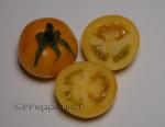 PPF3KPRRL5yellow