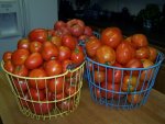 Tomato, Ripe mixed, August 10, 2006